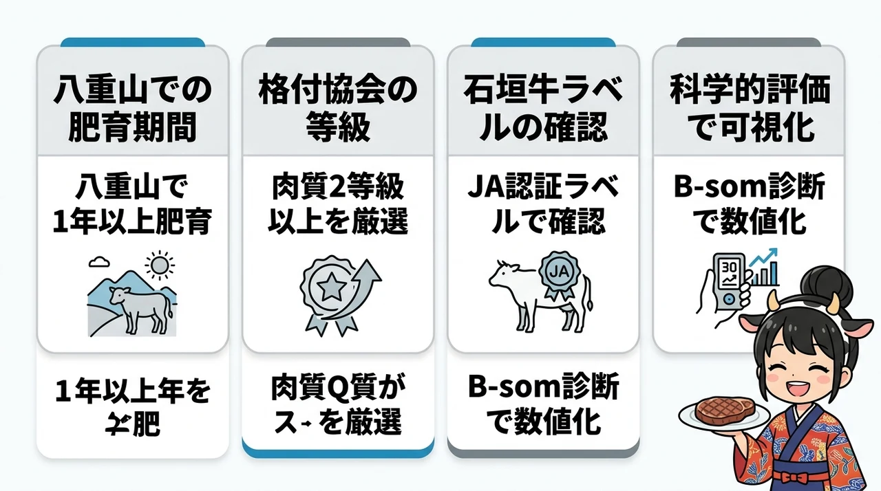 本物の石垣牛を見極めるための定義と基準の要点をまとめた図解(八重山郡内での肥育期間・日本食肉格付協会の等級・石垣牛ラベルの確認)