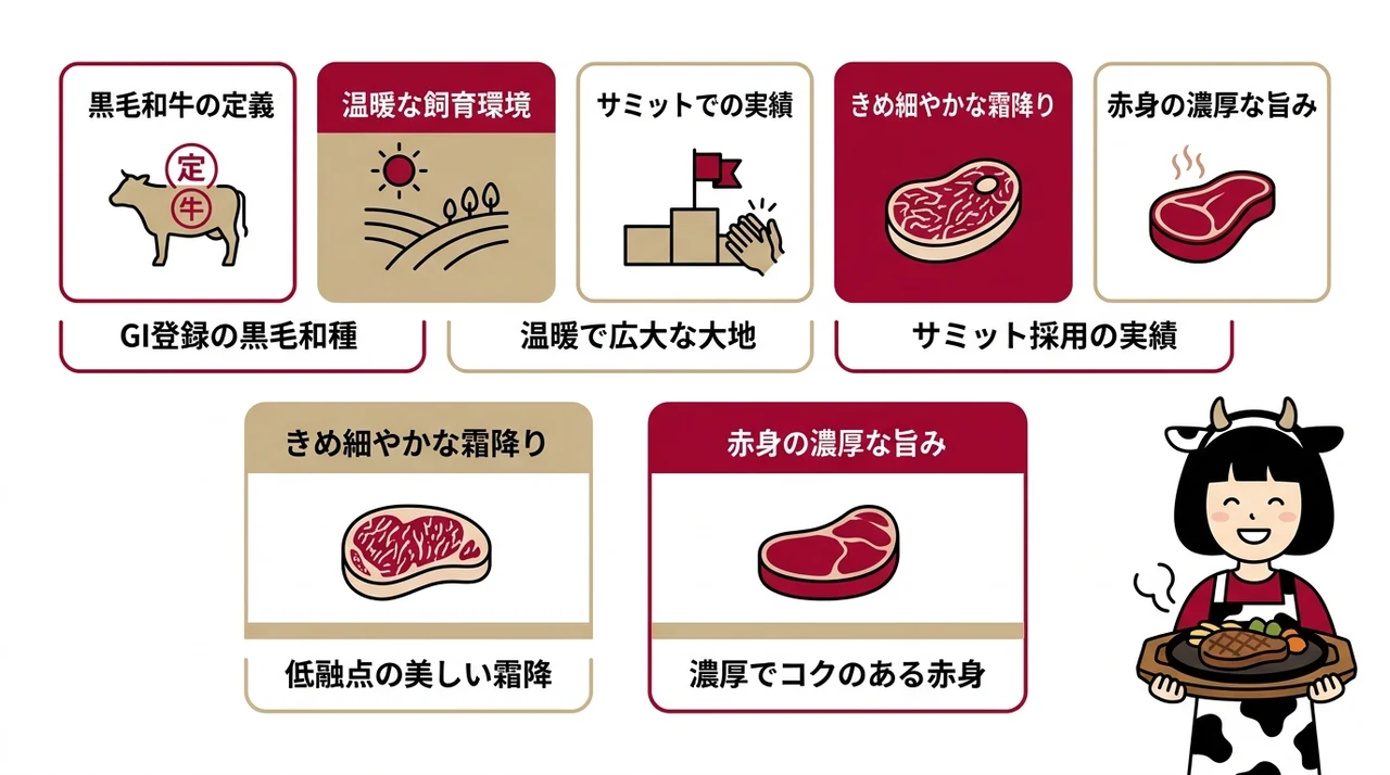 北海道が誇る白老牛(北海道)の定義と味の特徴の要点をまとめた図解(黒毛和牛の定義・温暖な飼育環境・サミットでの実績)
