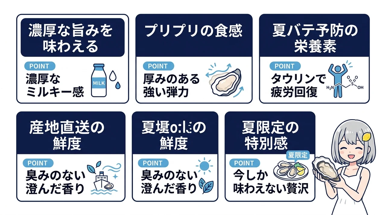 天然岩牡蠣を生で食べるメリット5つの要点をまとめた図解(濃厚な旨みを味わえる・プリプリの食感・夏バテ予防の栄養素)