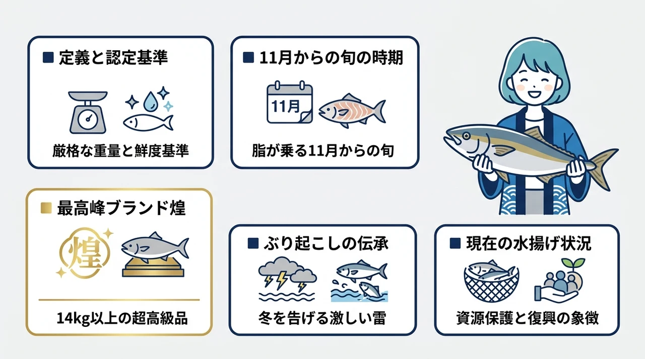 石川・能登の寒ブリとは？旬や最高級ブランド「煌」を解説の要点をまとめた図解（定義と認定基準・11月からの旬の時期・最高峰ブランド煌）